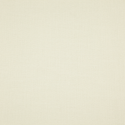Window Screen