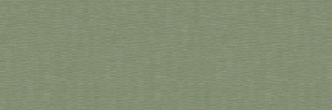 Vinyl Wallpaper