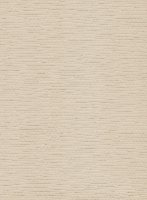 Faux Leather