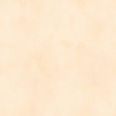 Gidero Decorative Paint
