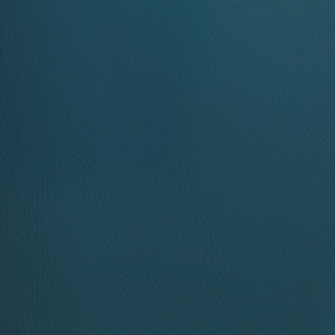 Eco Leather