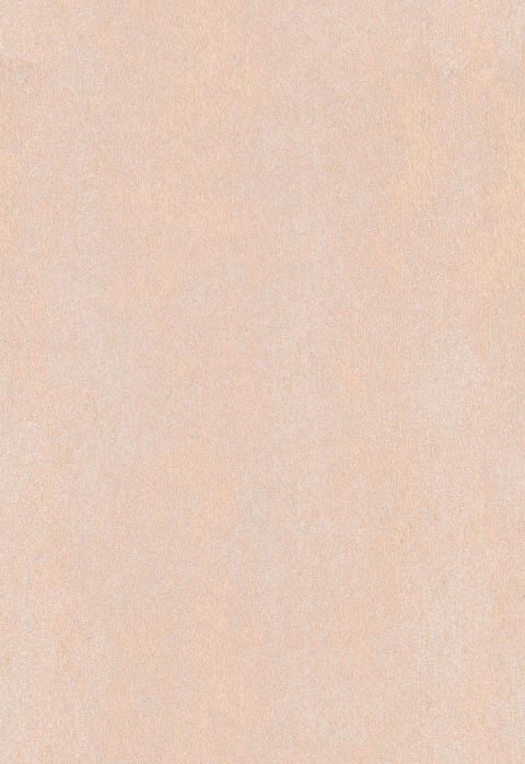 Curtain Fabric