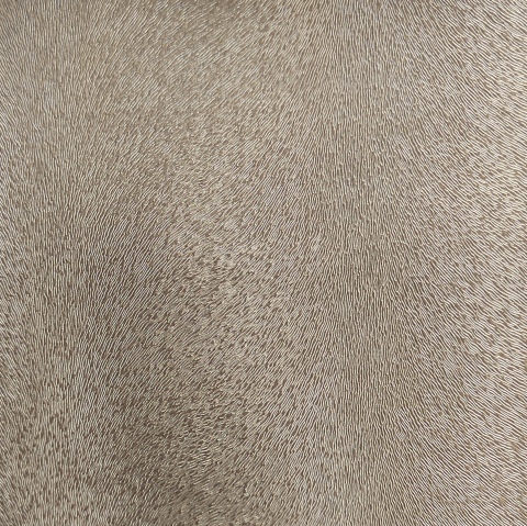Specialty Fabric