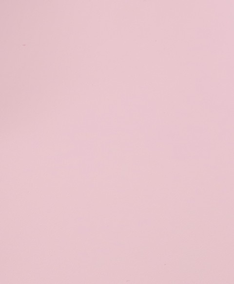 Saddle Leather
