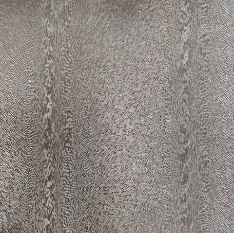 Specialty Fabric