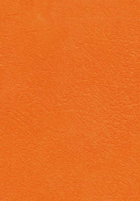 Rilievi Texture – Relief Art Paint