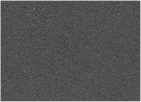 Texture Paint