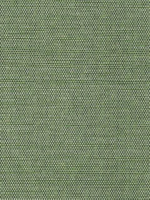 Imported Non-Woven Wall Fabric