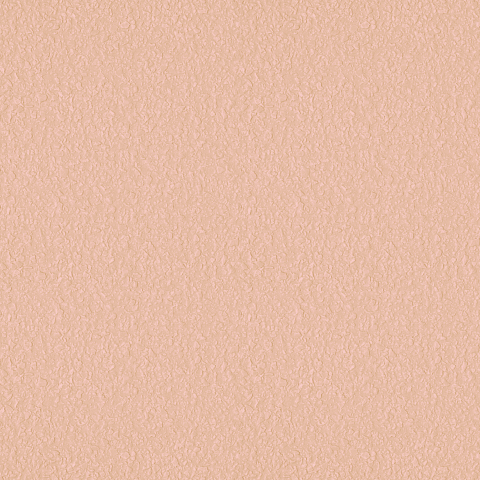 Cariri Decorative Paint