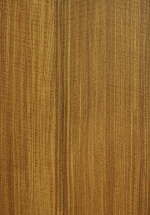 Pre-finished Wood Veneer Panel