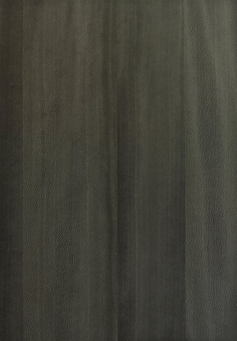 Pre-finished Wood Veneer Panel