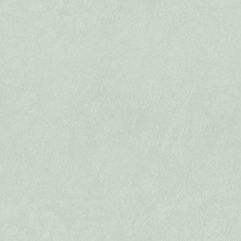 Yunweide Decorative Paint