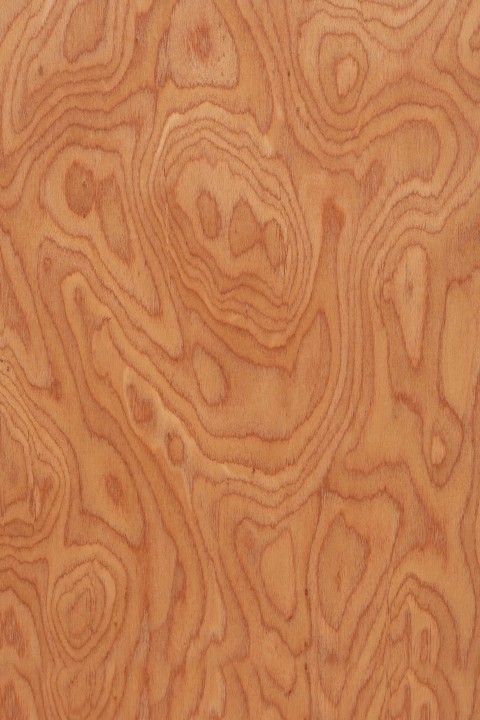 Artistic Wood Veneer