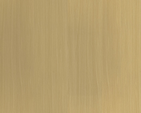 Coated Aluminum Sheet