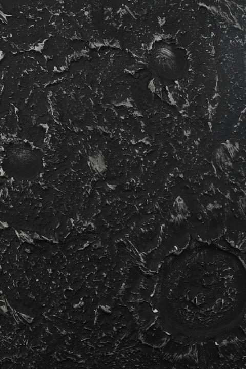 Engineered Wood Veneer