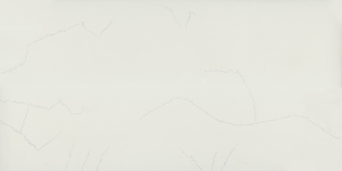 Fish Belly White