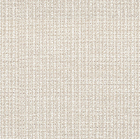Curtain Fabric