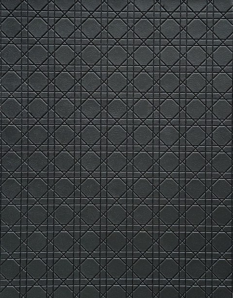 Eco-Friendly Embossed Leather