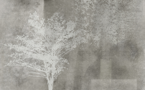 Water-Based Art Paint Wallpaper - Enchanted Tree