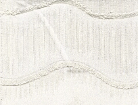 Curtain & Upholstery Fabric