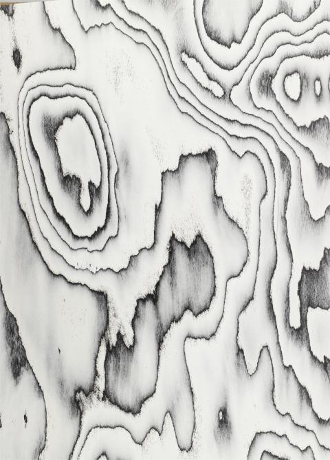 Engineered Wood Veneer