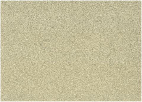 Texture Paint