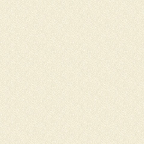 Imported Direct-Apply Non-Woven Wallpaper