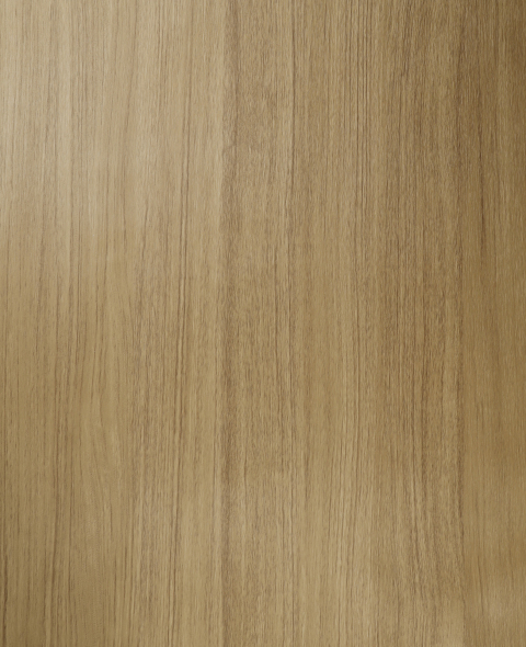 Coated Aluminum Sheet