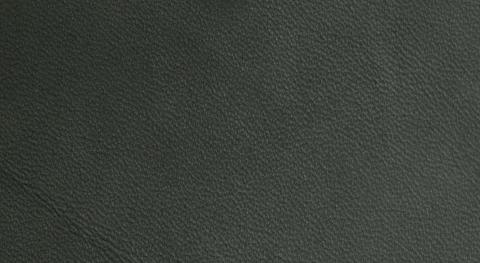 Imported Genuine Leather