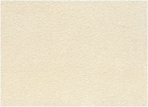 Texture Paint