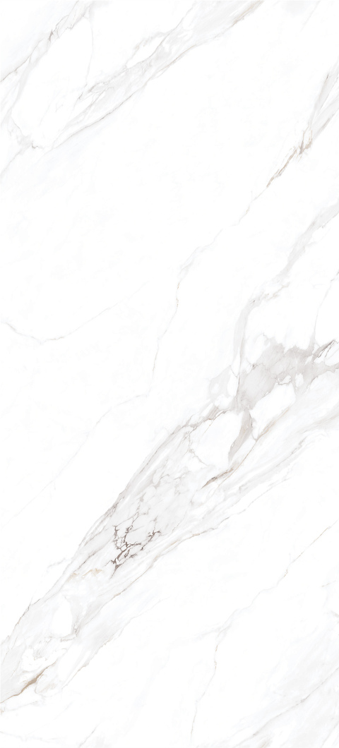 Natural Pattern Slab
