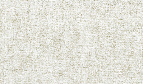 Eco-Friendly Curtain & Cushion Fabric