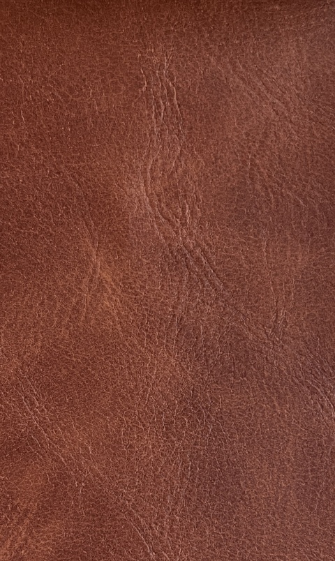 Eco-Friendly Leather