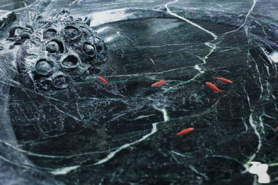 Material image