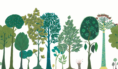 Digital Print Wallpaper
