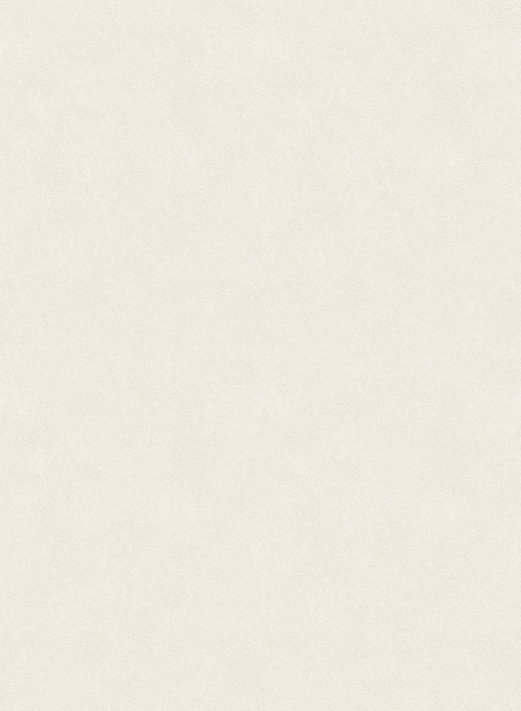 Water-Based Art Paint Wallpaper - Phantom Silk