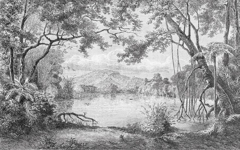 Digital Print Wallpaper - Western Art
