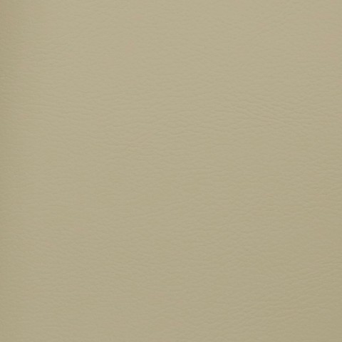 Faux Leather