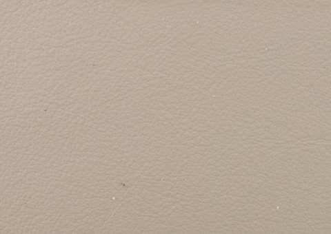 Genuine Leather