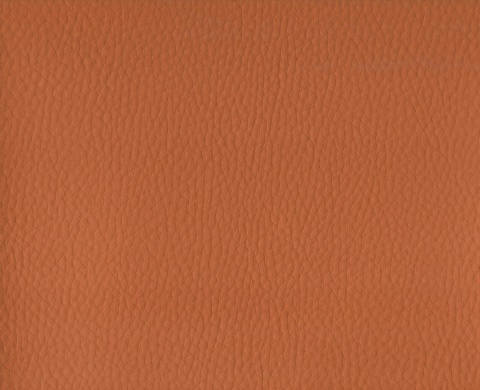 Faux Leather