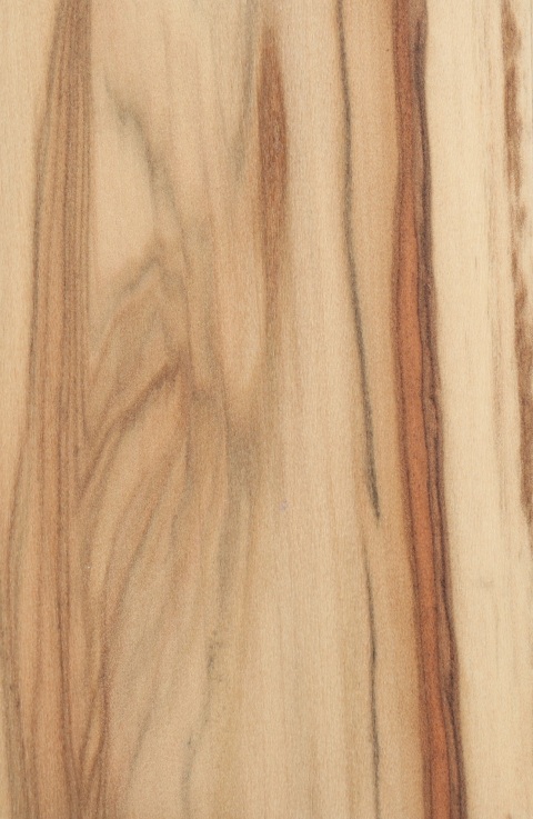 Wood Veneer