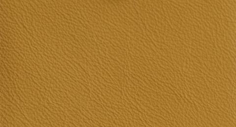 Imported Genuine Leather