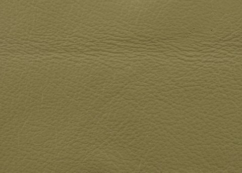 Genuine Leather