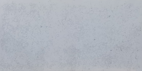 Fish Belly White