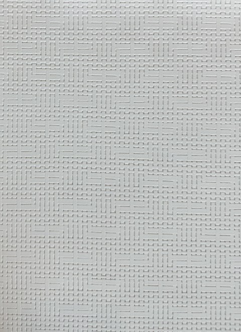 Eco-Friendly Embossed Leather