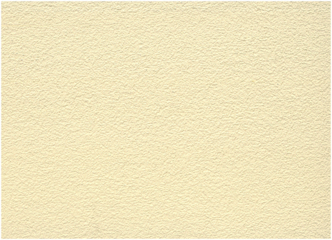 Texture Paint
