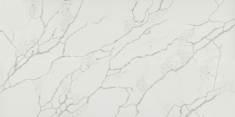 Fish Belly White