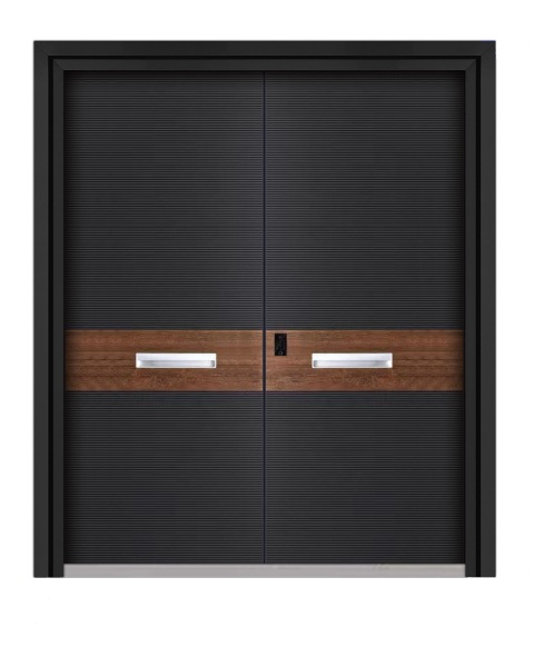 Sculpted Aluminum Armored Door - Double Doors