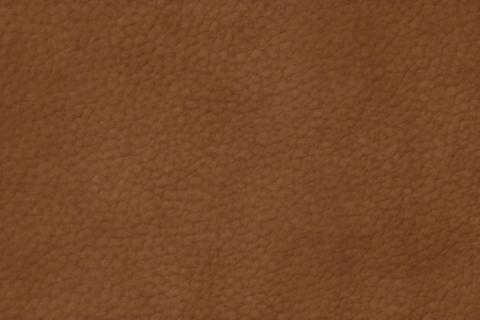 Genuine Leather