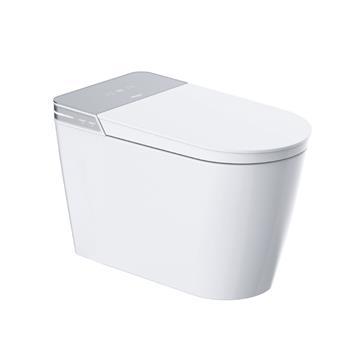 Smart Toilet